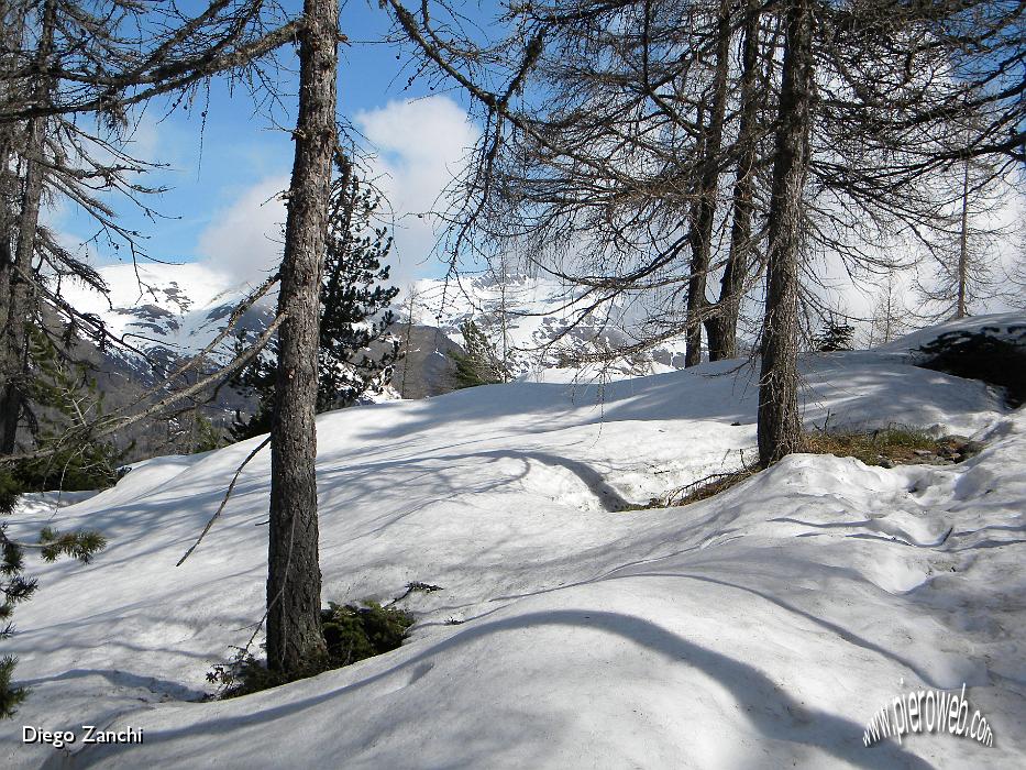 2-giornata di sole.jpg